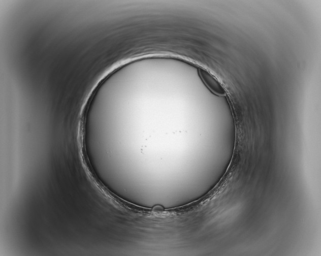 X0000095911526200801251000