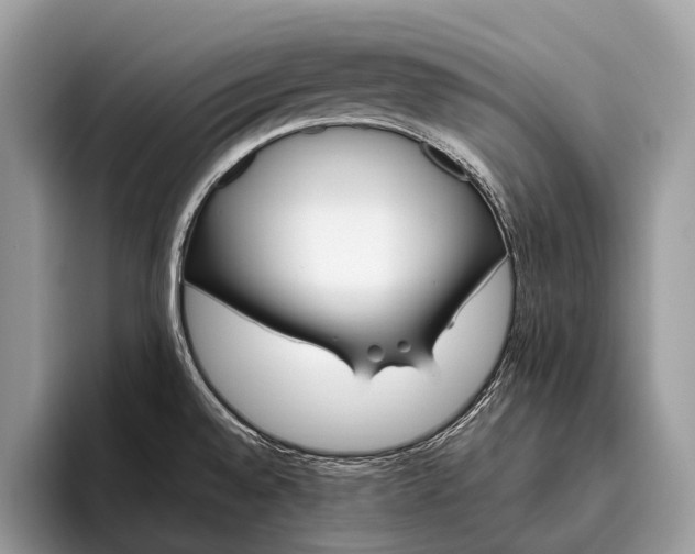 X0000095911528200801251000