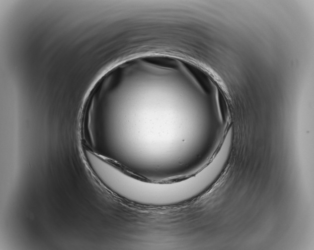 X0000095911530200801251000