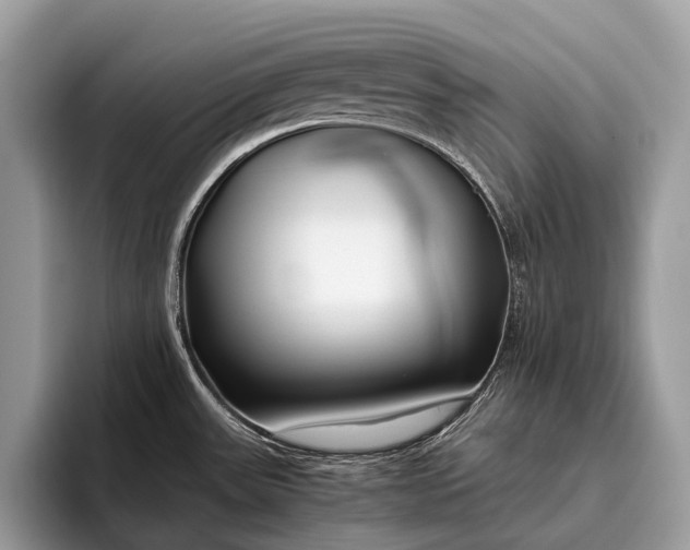 X0000095911531200801251000