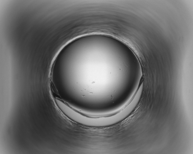 X0000095911532200801251000