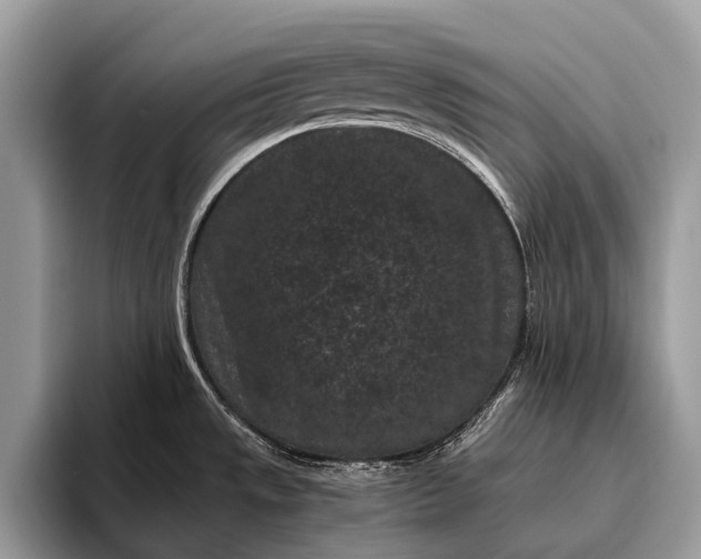 X0000095911533200801251000