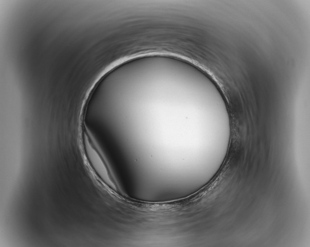 X0000095911534200801251000