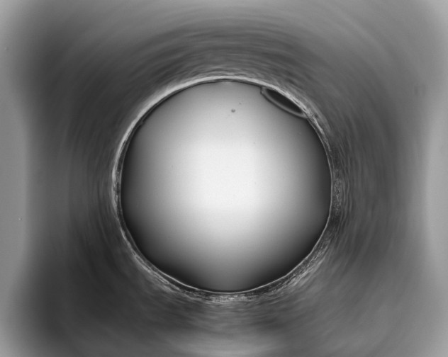 X0000095911535200801251000