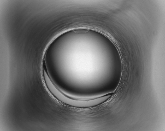 X0000095911536200801251000