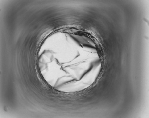 X0000095910001200802011201