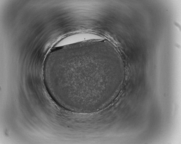 X0000095910002200802011201