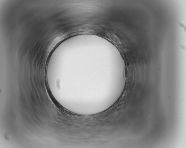 X0000095910003200802011201