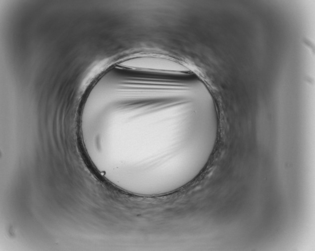 X0000095910007200802011201