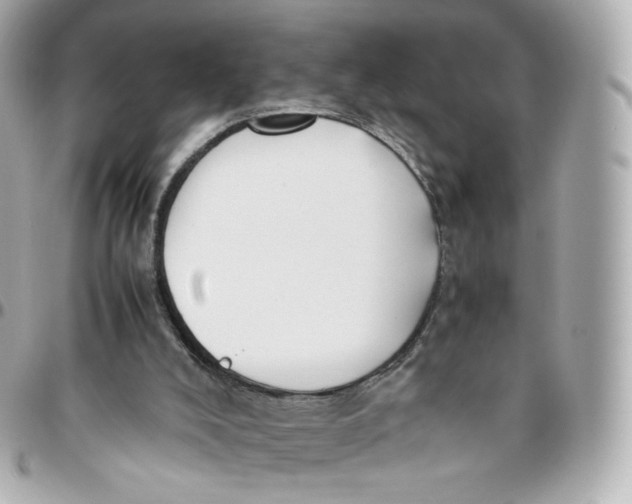 X0000095910008200802011201