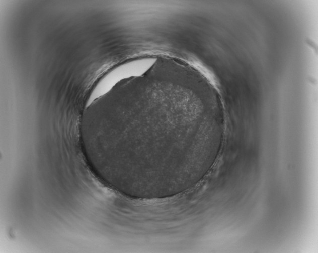 X0000095910009200802011201