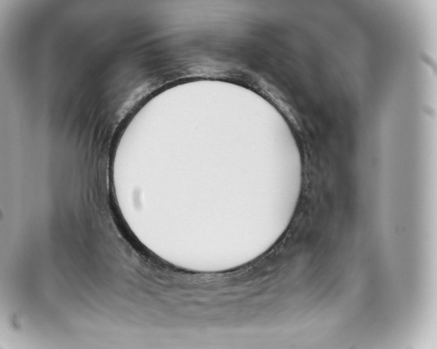 X0000095910011200802011201