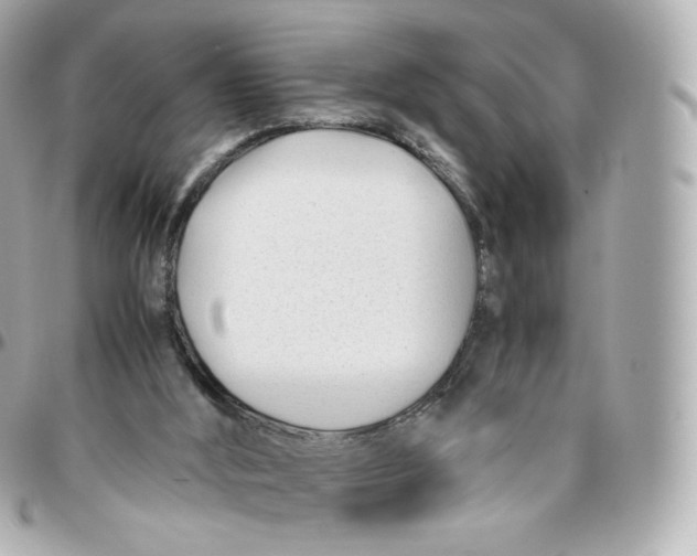 X0000095910012200802011201