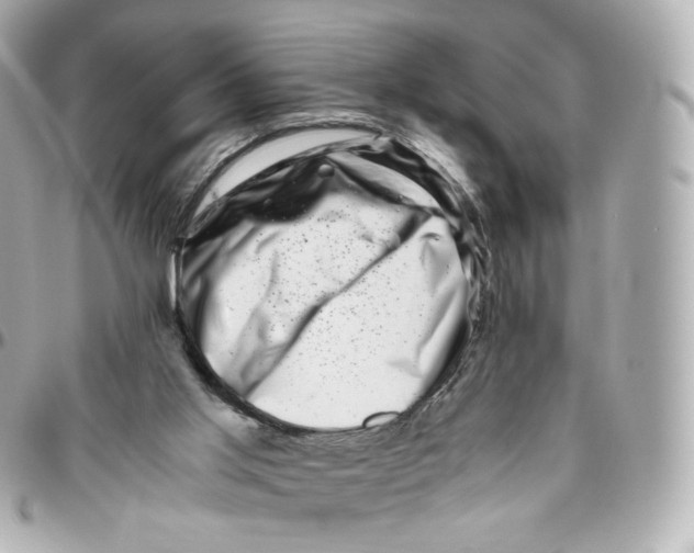 X0000095910013200802011201