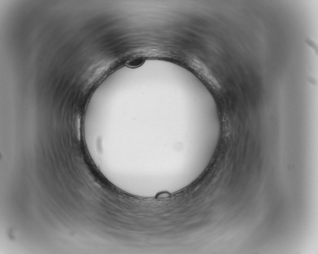 X0000095910014200802011201