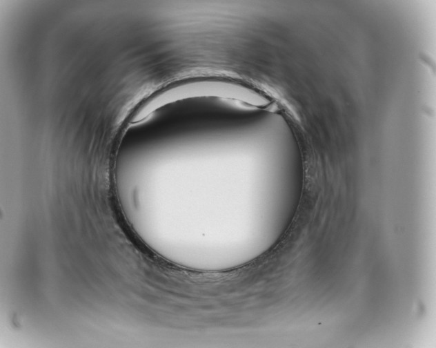 X0000095910015200802011201