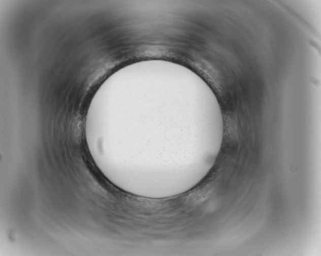 X0000095910016200802011201