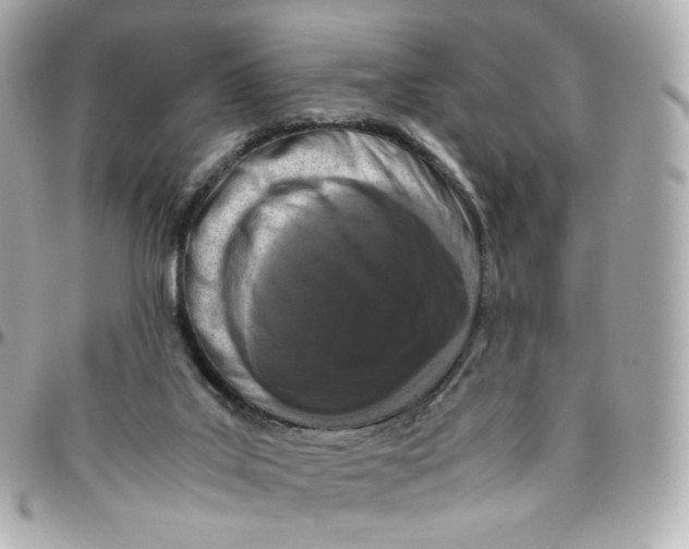 X0000095910019200802011200