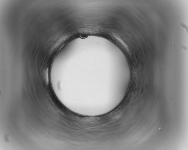 X0000095910020200802011200