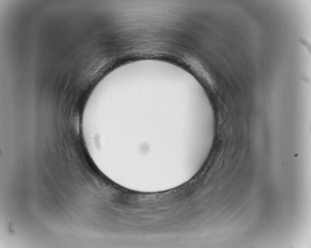 X0000095910021200802011200