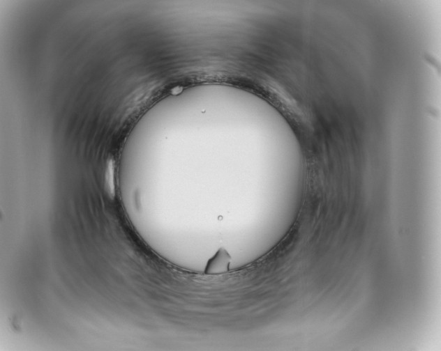 X0000095910022200802011200