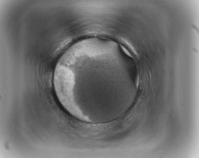 X0000095910023200802011200