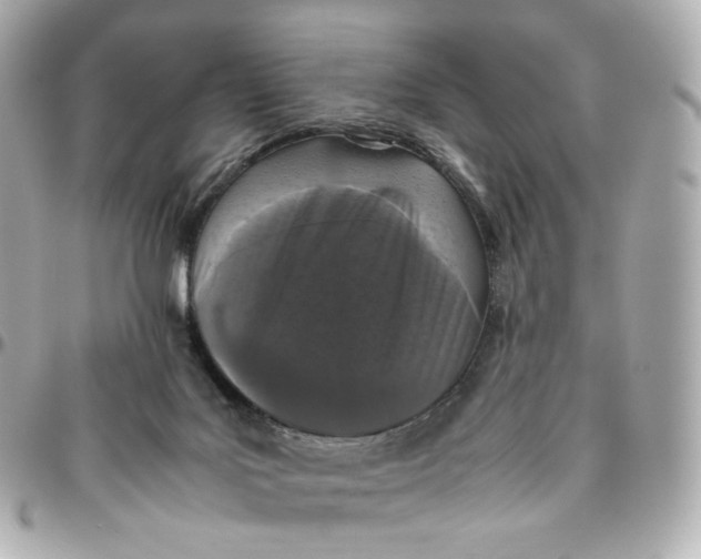 X0000095910027200802011200