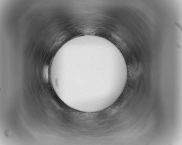 X0000095910028200802011200