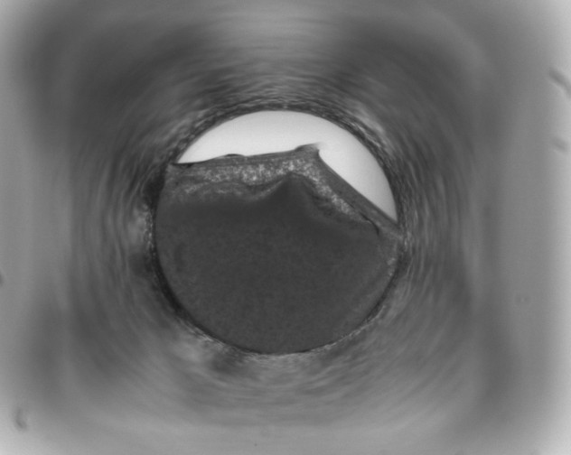 X0000095910029200802011200