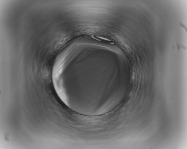 X0000095910031200802011200