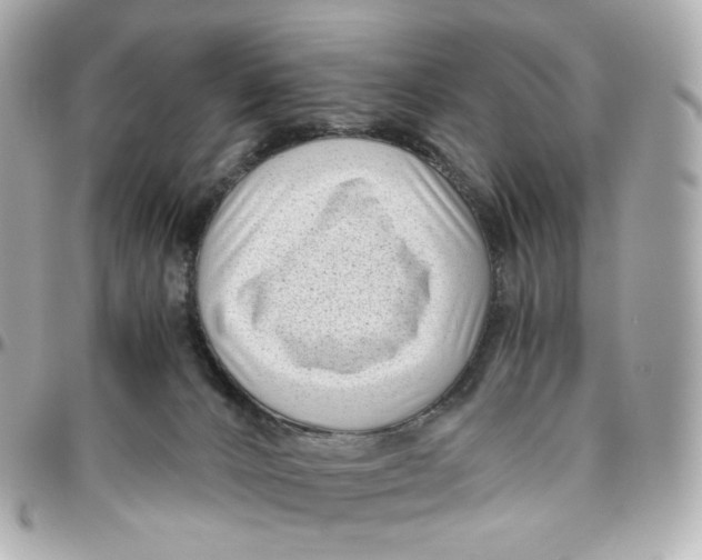 X0000095910032200802011200