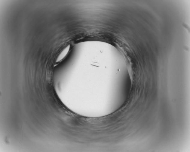 X0000095910033200802011200