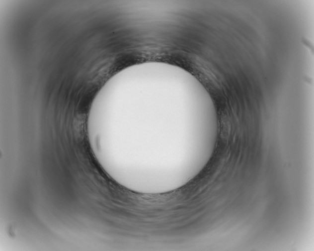 X0000095910034200802011200