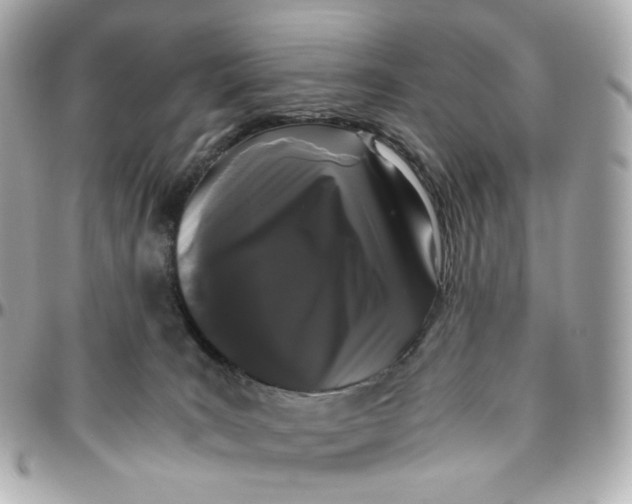 X0000095910035200802011200