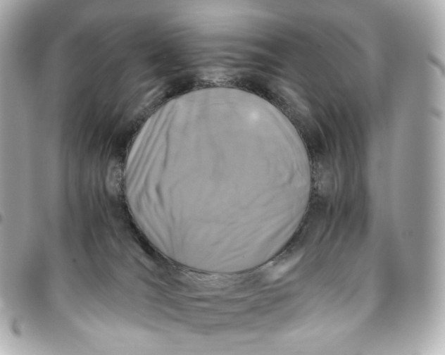 X0000095910036200802011200