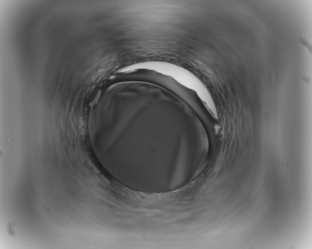 X0000095910039200802011200