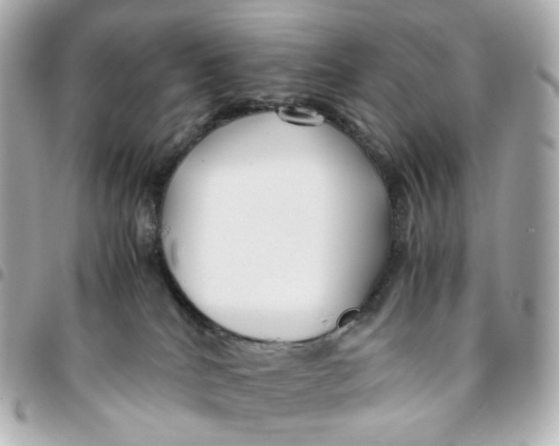 X0000095910040200802011200