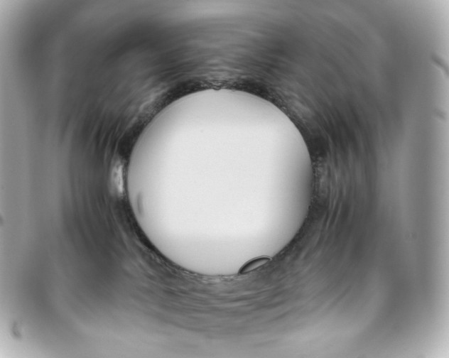 X0000095910042200802011200