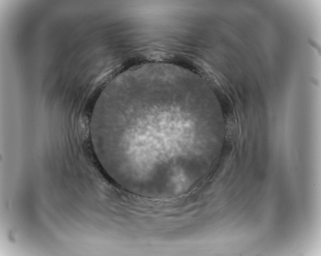 X0000095910043200802011200