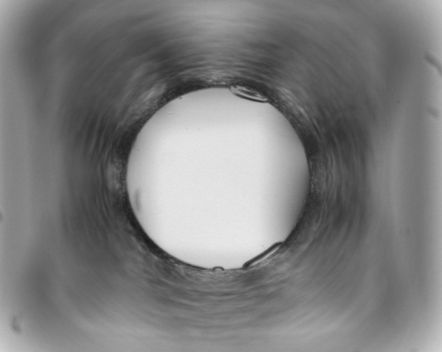 X0000095910044200802011200