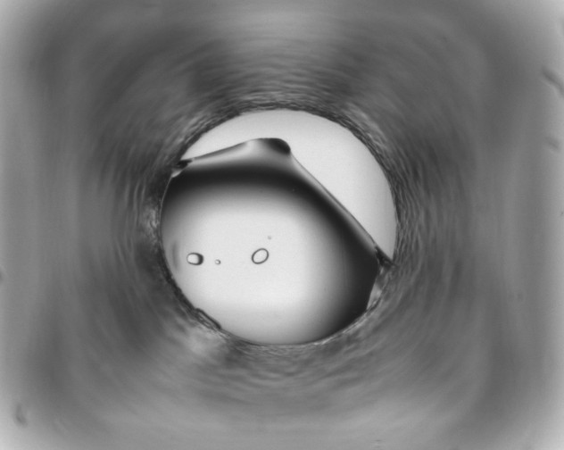 X0000095910045200802011200