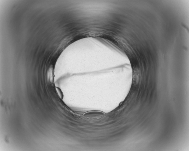 X0000095910046200802011200