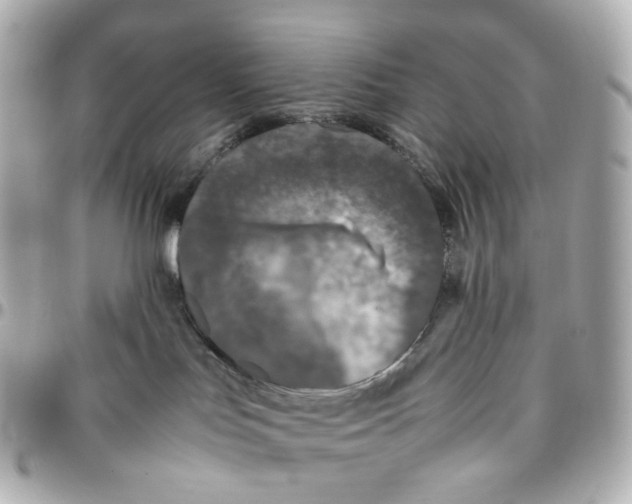 X0000095910047200802011200