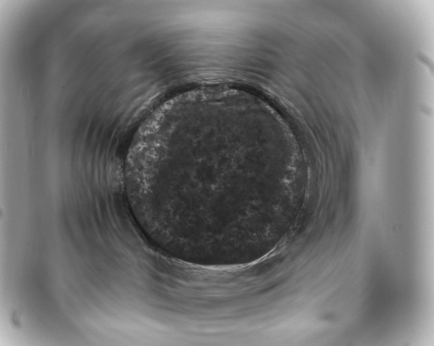 X0000095910048200802011200