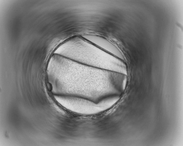 X0000095910049200802011159