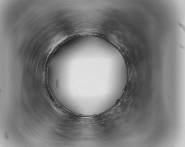 X0000095910050200802011159