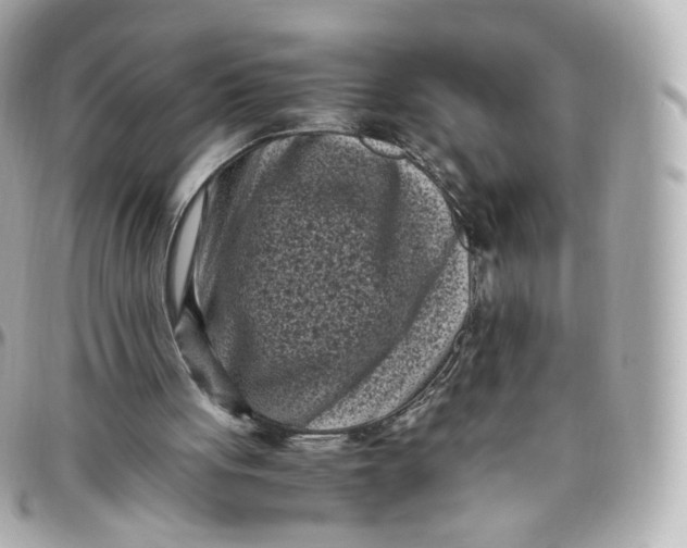 X0000095910051200802011159