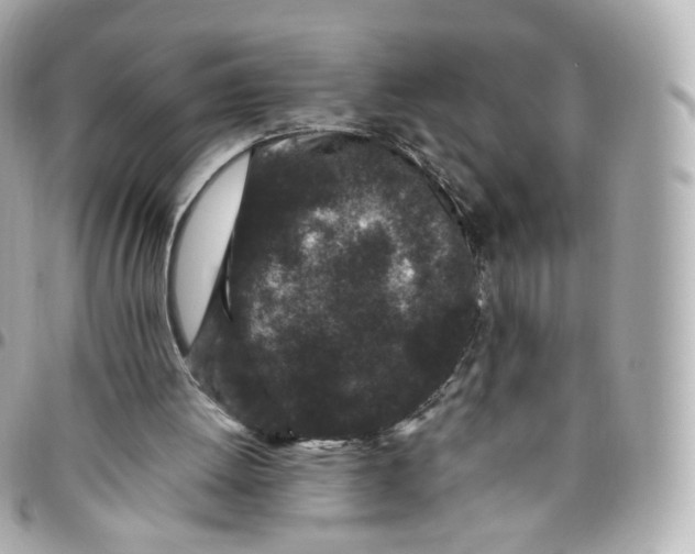 X0000095910052200802011159