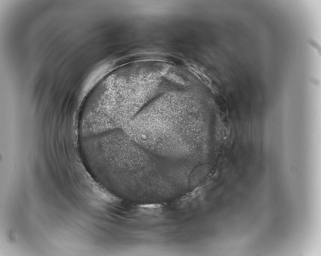 X0000095910053200802011159