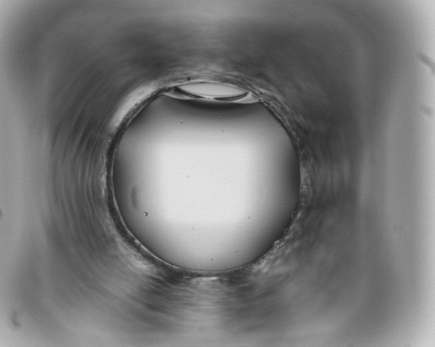 X0000095910054200802011159